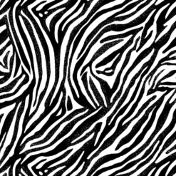 Best reviews of 🌟 Black & White Zebra Cotton Fabric Bundle by Loops & Threads™ ⌛ -Loops and Threads Sales Shop 10631337 3